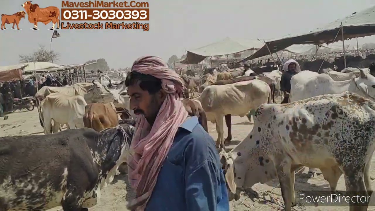Mirpurkhas Mandi
