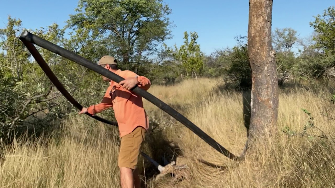 Elephant pipe damage 3