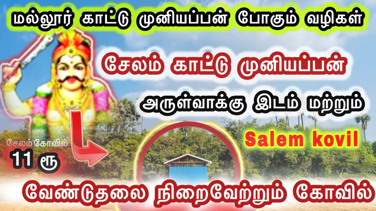 மல்லூர் காட்டு முனியப்பன் போகும் வழிகள் / 11ரூ வேண்டுதலை நிறைவேற்றும் கோவில் / காட்டு முனியப்பன் /