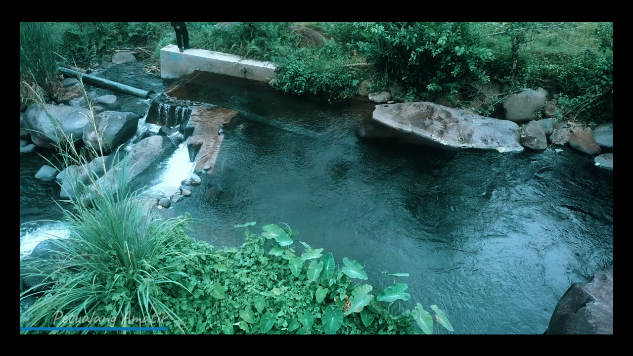 Enchantment of Nature Way Kedawai  with Relaxation Film and Calming Music