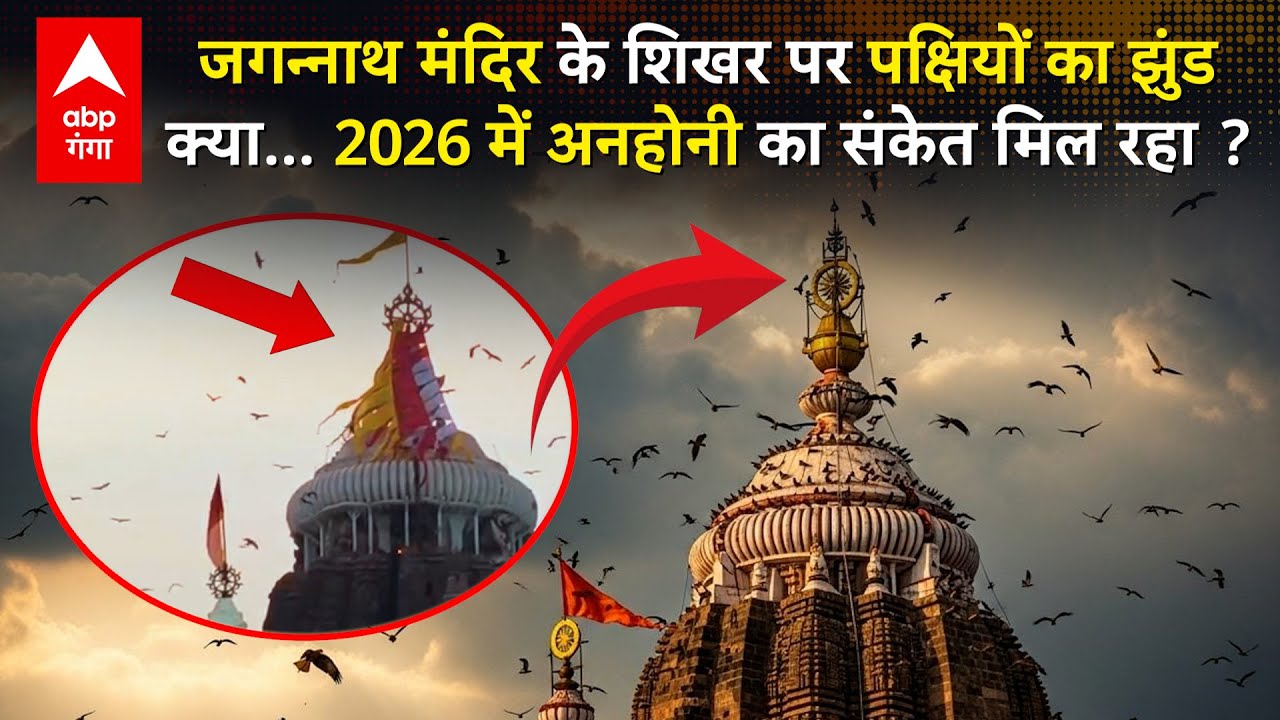 Jagannath Temple Viral Video:जगन्नाथ मंदिर के शिखर पर पक्षियों का झुंड, क्या अशुभ घटना का है संकेत ?