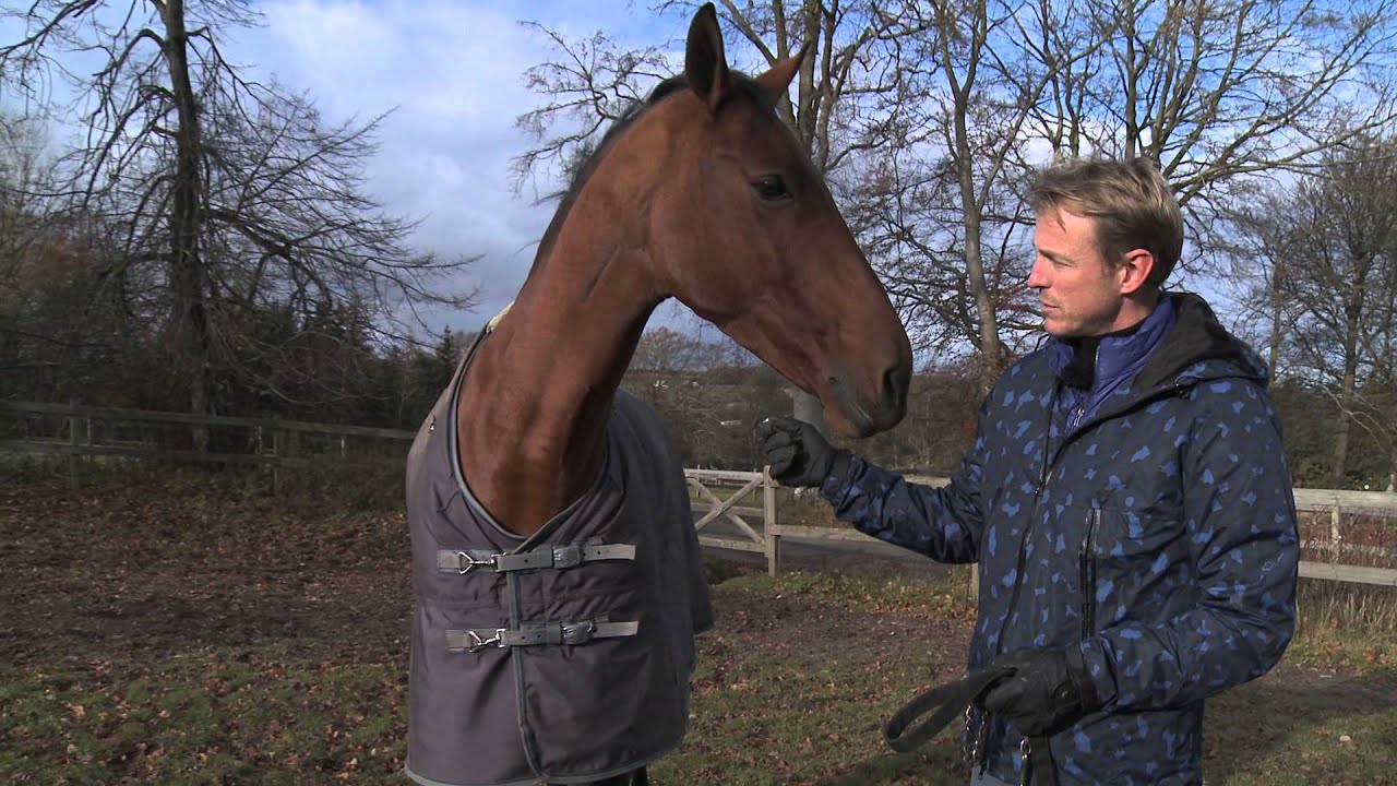 Meet Peder Fredricson's wonderful horses