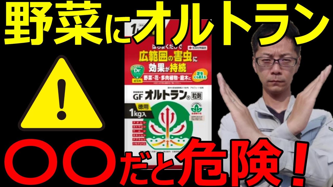 【有料級！】オルトランの正しい使い方を徹底解説！