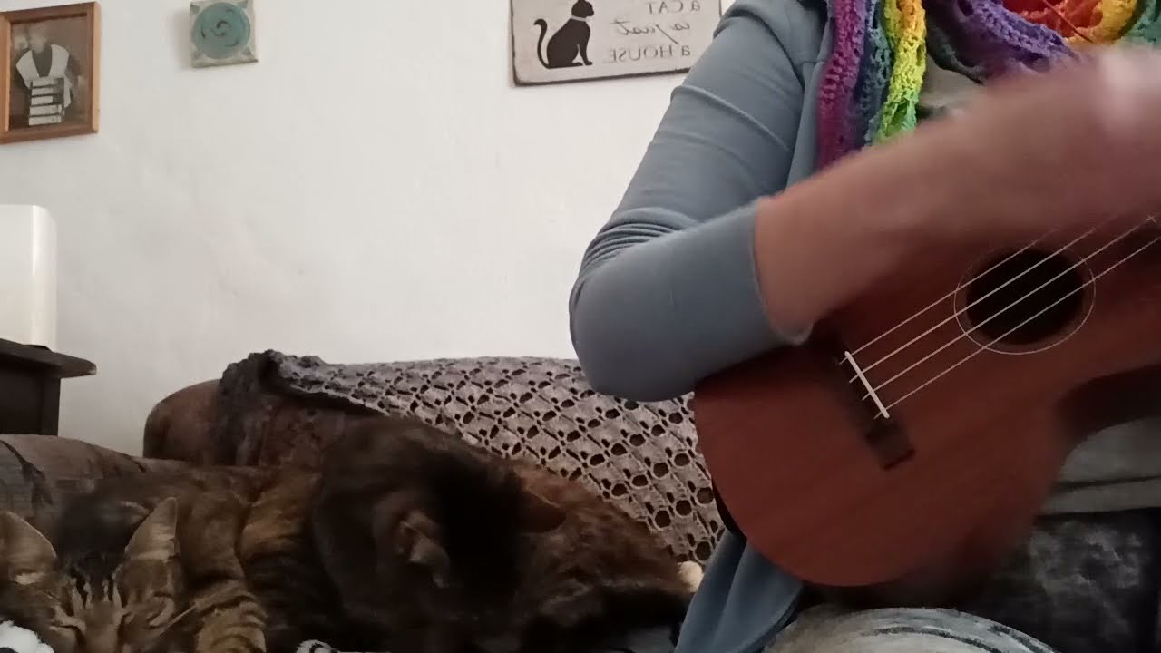 The Light – Ukulele Cover (Austin Lucas & Chuck Ragan)