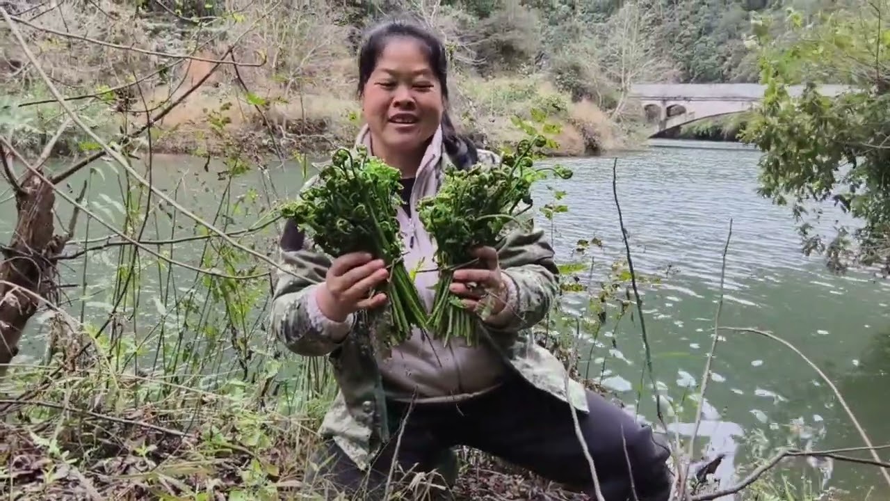 天气暖和，农村野菜到处都猛涨，这样的野菜配上腊肉谁都爱
