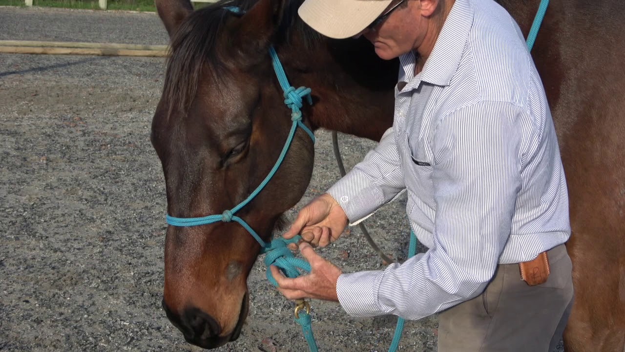 Making a leadrope into reins