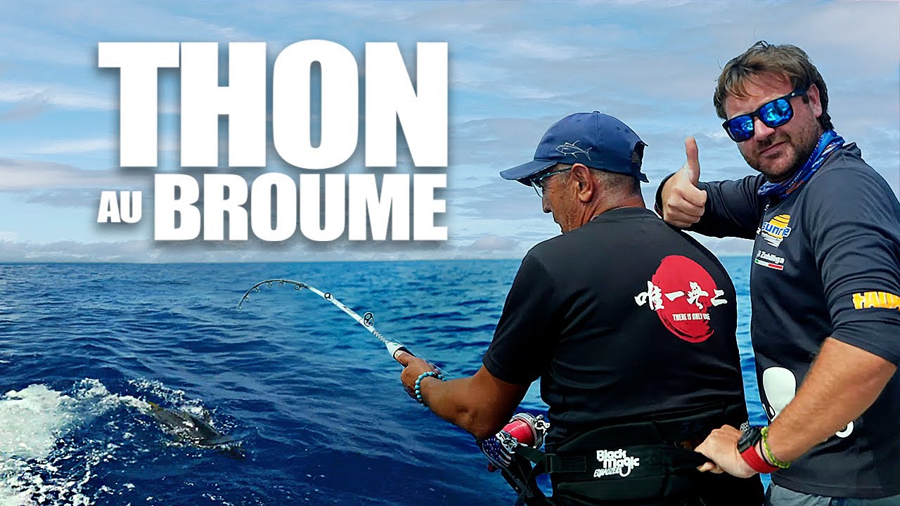 Pêche du thon rouge au broumé en Méditerranée