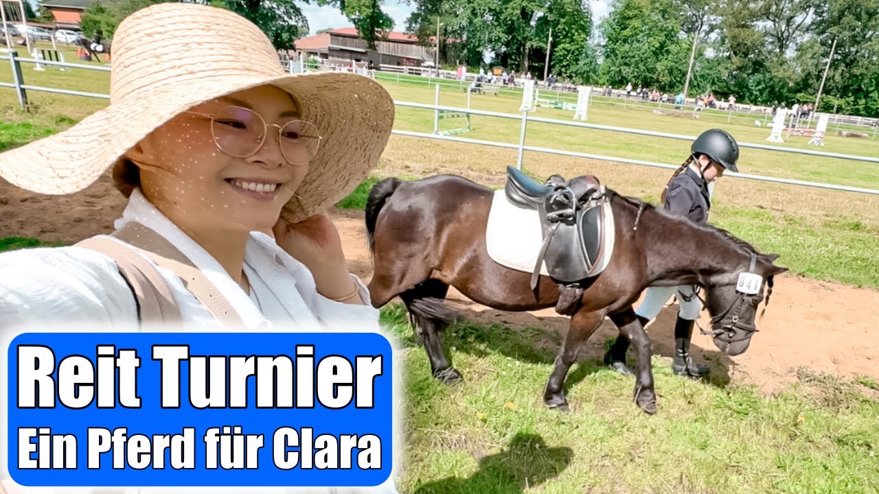 Reit Turnier 🐎 Ein eigenes Pferd für Clara 😍 Mamiseelen