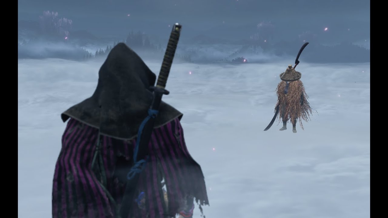 Requests: Lone Shadow vs Rotary Monk