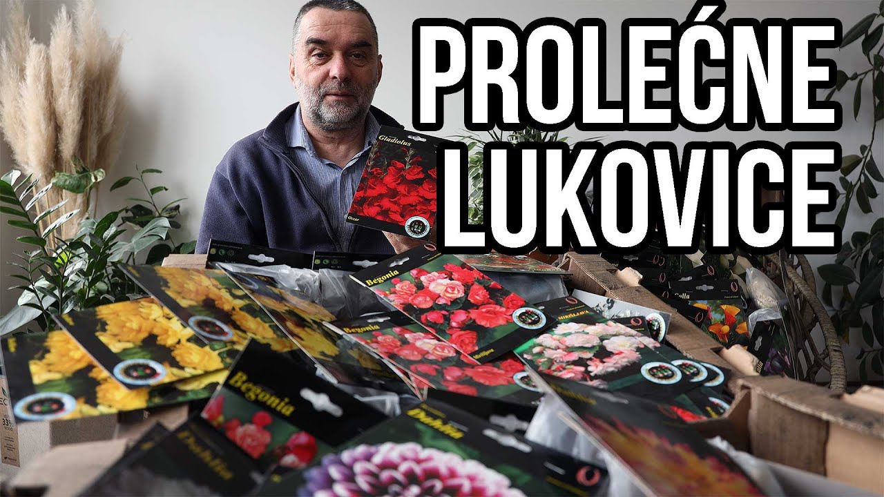 Prolećne lukovice