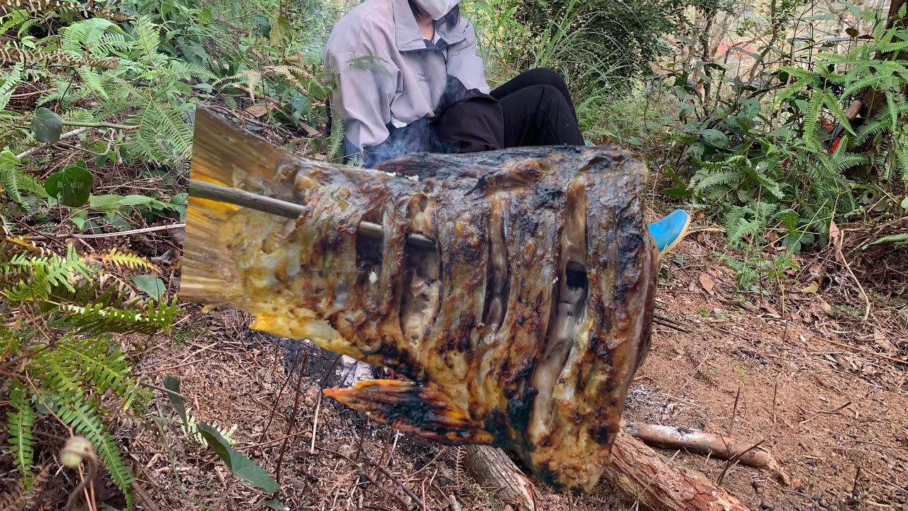 Wild Fish Grilling in the Forest | Catch & Cook #campcooking #forestcooking #outdoorcooking 