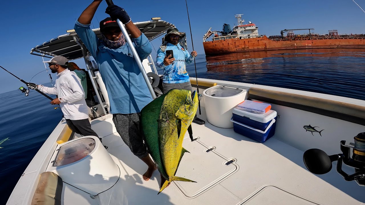 FISHING IN FUJAIRAH | UAE | Mahi Mahi | AL NAHAM FISHING