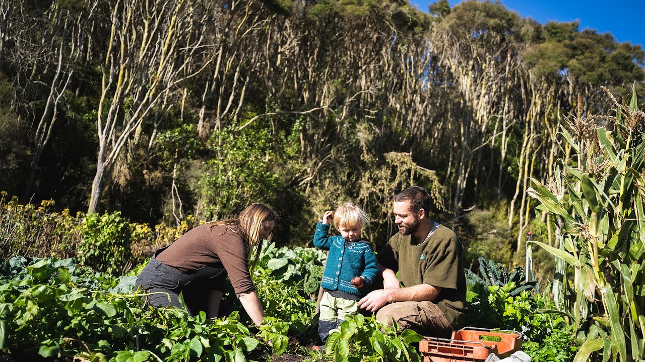 Waewae Permaculture: Story of a Dunedin Market Garden