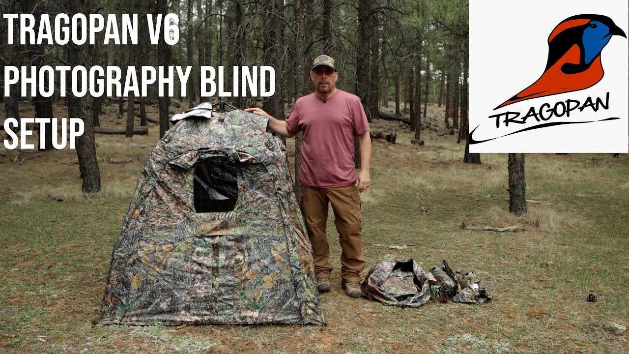 Tragopan V6 Hide: Set Up & Accessories