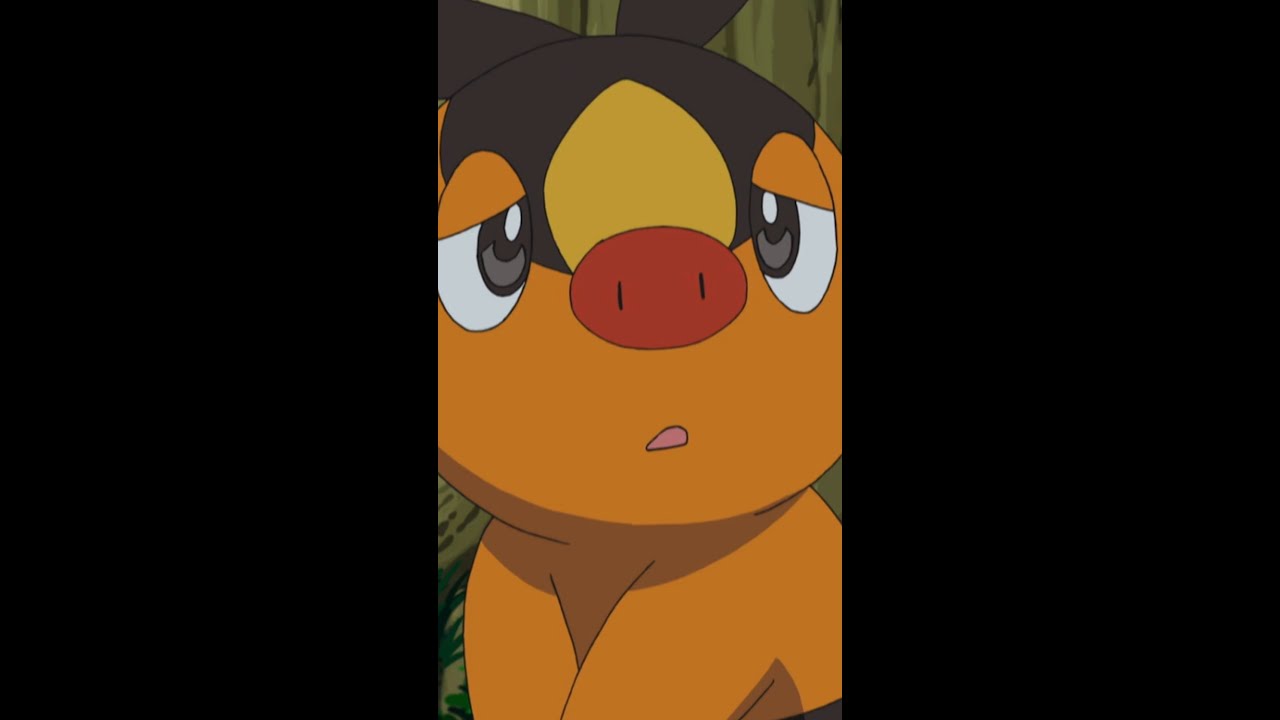 Floink muss beschützt werden. 😭