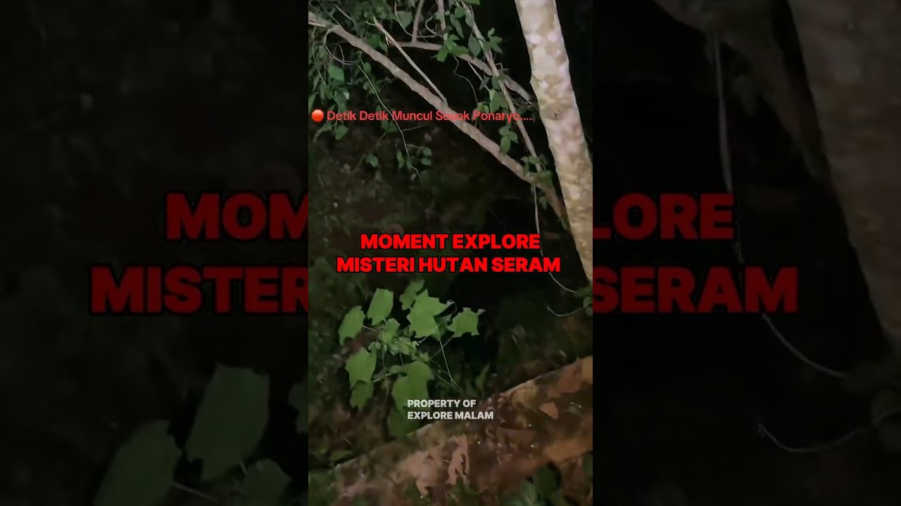 MOMENT EXPLORE MISTERI HUTAN SERAM 👹💥 #penjelajahanalam #exploremalam