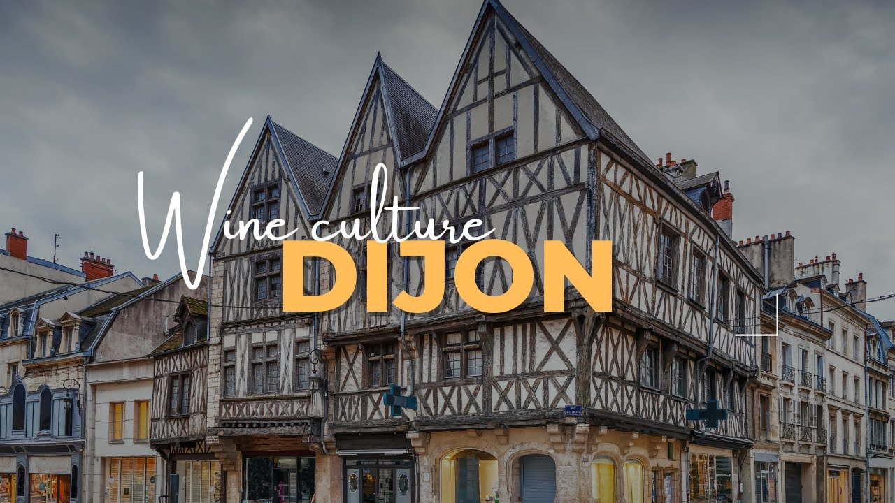 Vines of Royalty: Dijon's Wine Legacy in the Heart of Burgundy, France