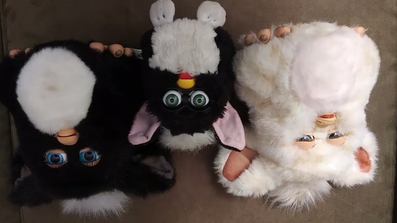 Speaking to the Furby Family