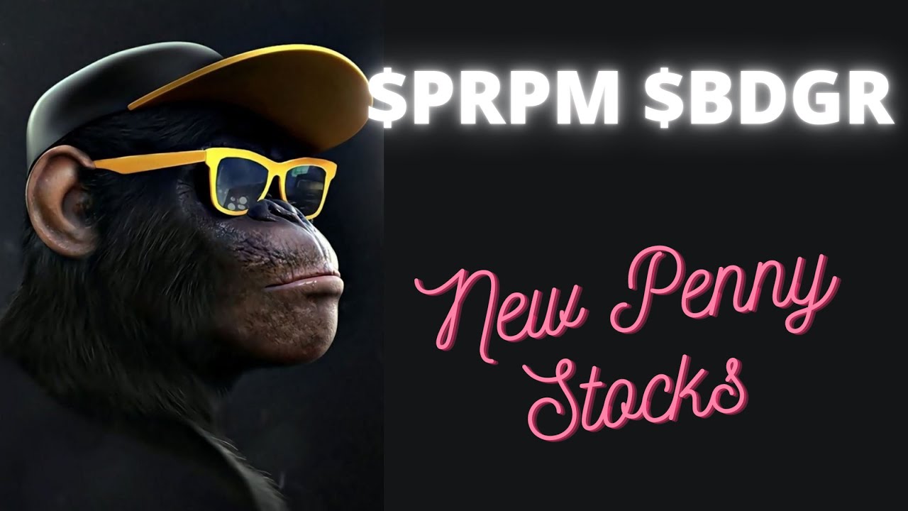 Two High Volume Penny Stocks: PRPM and BDGR