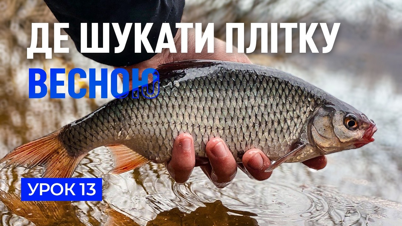 🐟 ЯК ЛОВИТИ ПЛІТКУ ВЕСНОЮ?  &mdash; Рибальська школа Flagman!  &mdash;  Урок 13