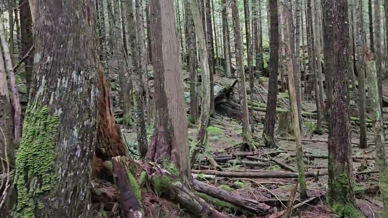 Hike to the top of May Creek, Goldbar