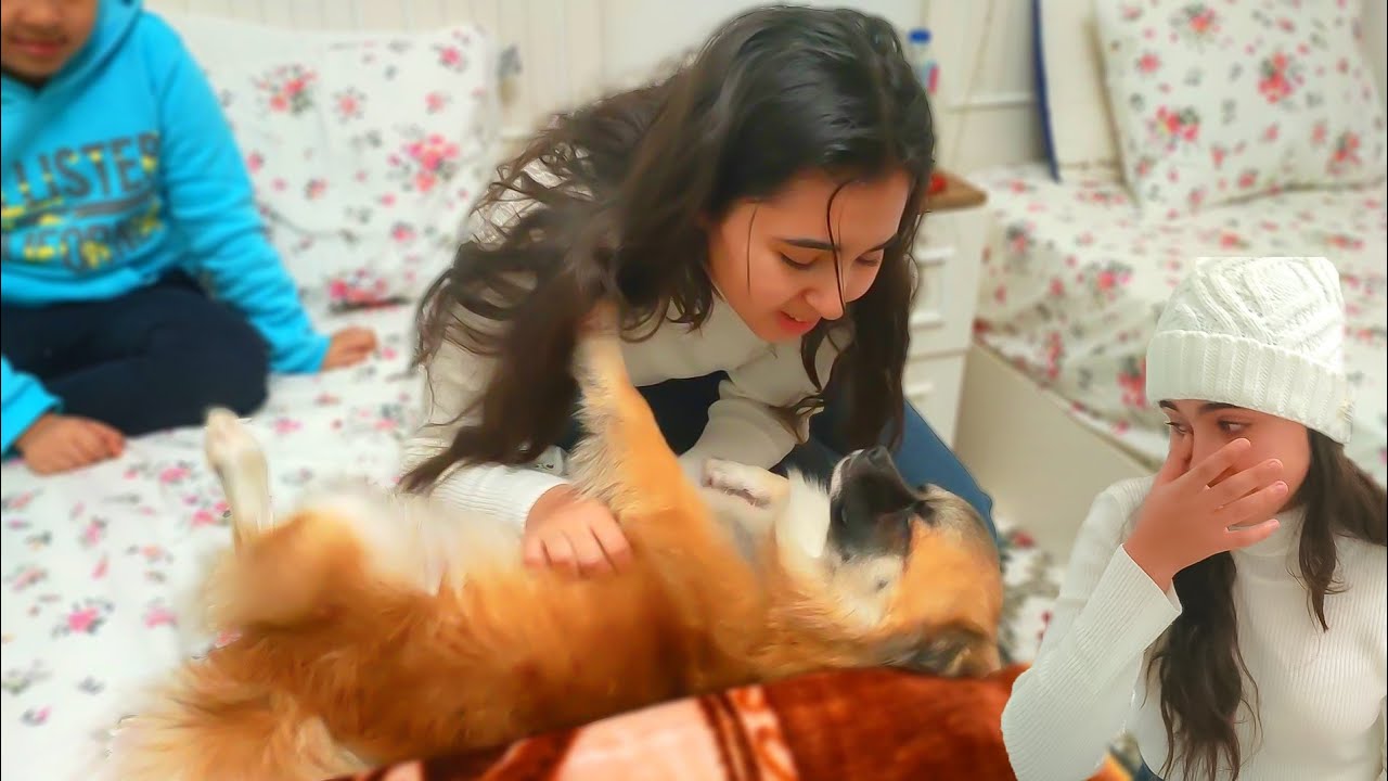 فاجأتهم بسيزر بعد غياب❤️|رد فعل تمني وعمرو مؤثر🥺