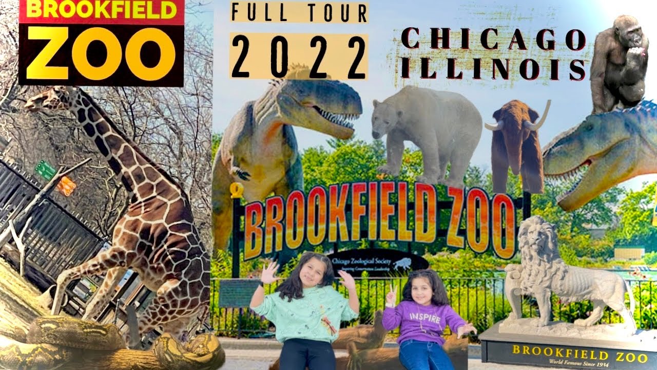 Brookfield zoo || Brookfield zoo Chicago || Chicago zoo || Brookfield zoo full tour