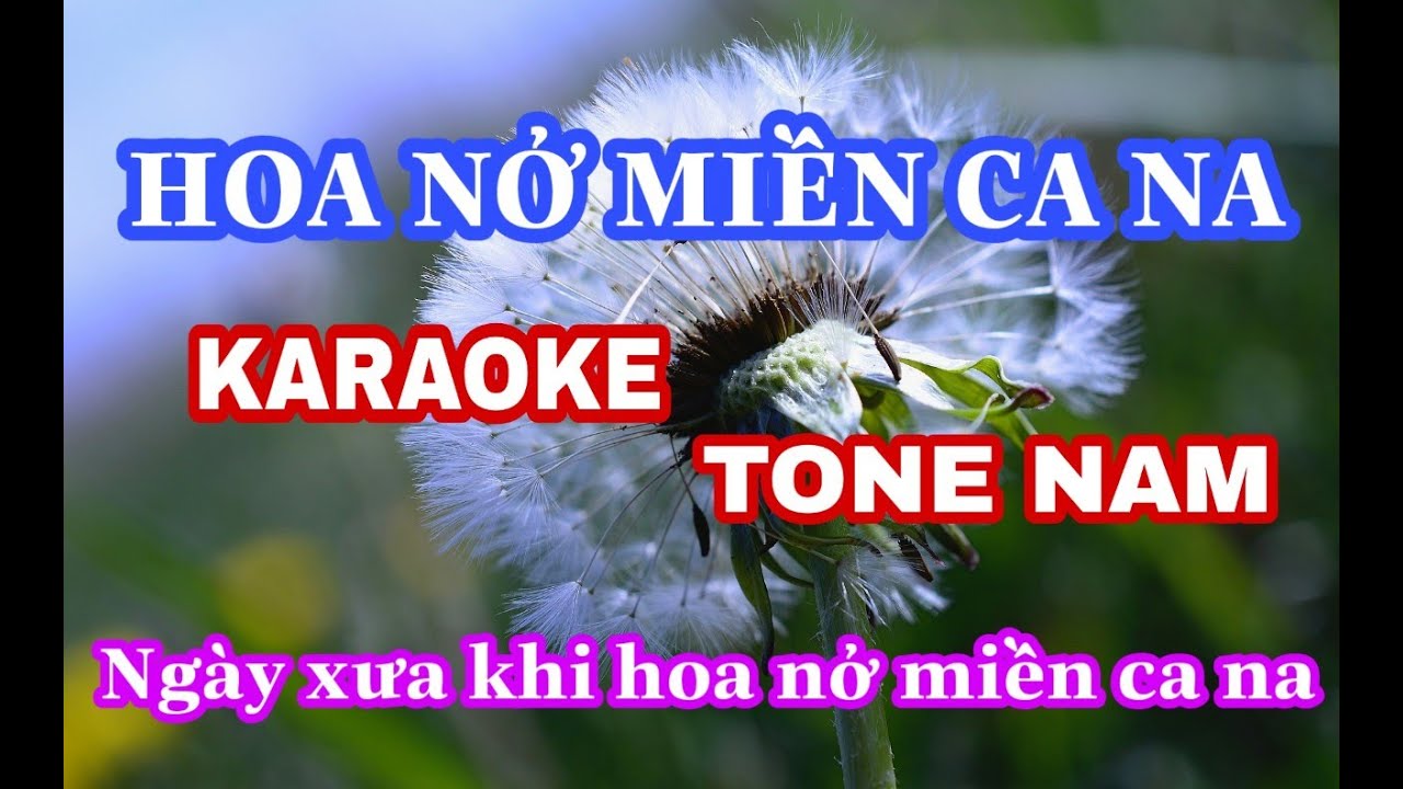 Hoa Nở Miền Ca Na Tone Nam - ( St Phanxico ) Ngày xưa khi hoa nở miền ca na