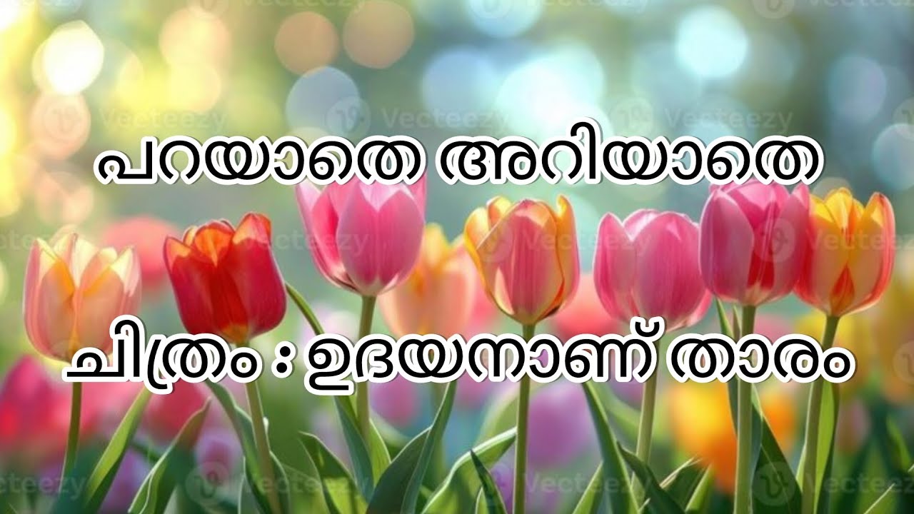 Parayathe Ariyathe#itsmeymled#malayalamsonglyrics#meena#mohanlalhits#malayalamsongs#kjyesudassongs 