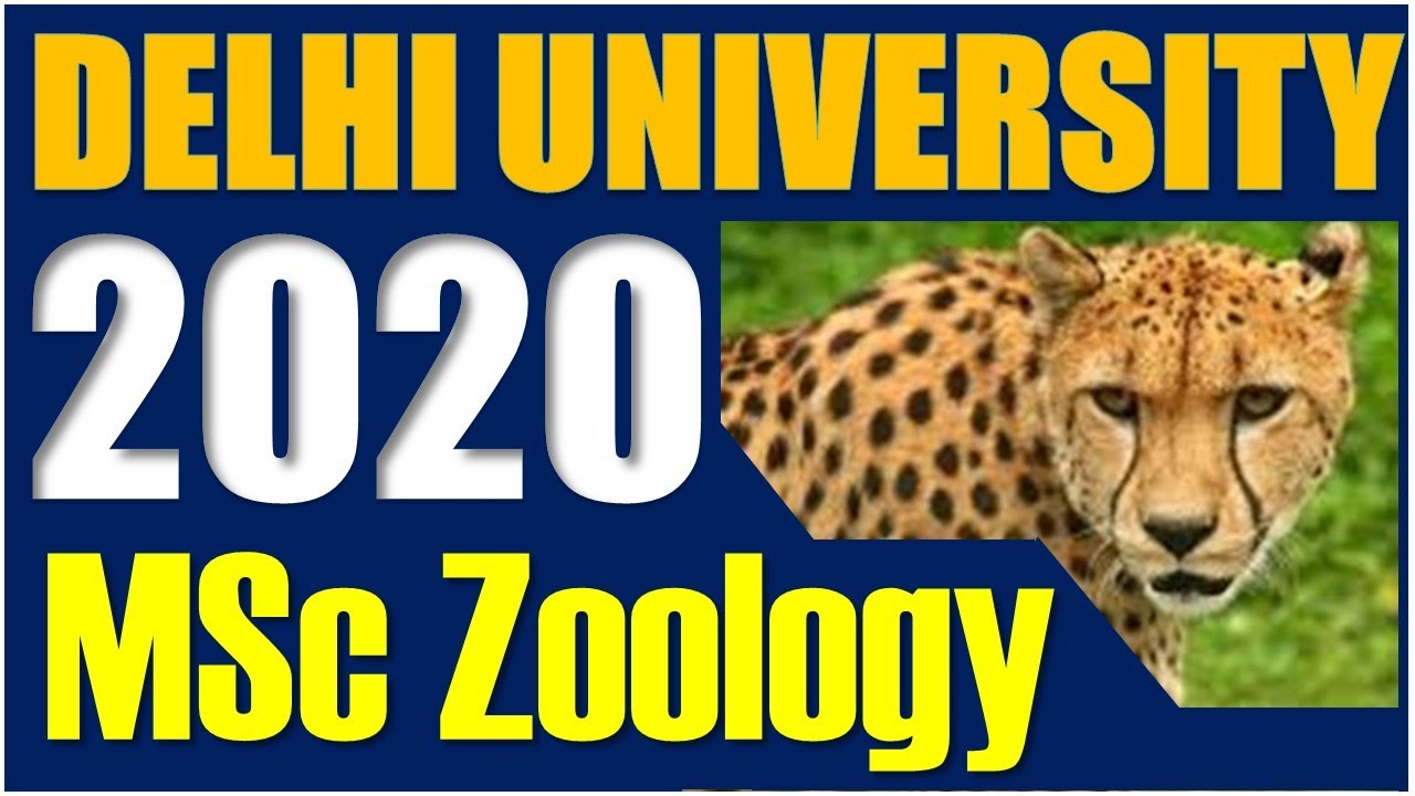 DU MSc Zoology Entrance Question Paper 2020 I Solved Answer Key I First Video