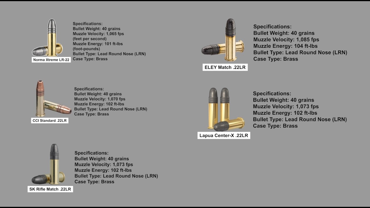Top 5 Most Accurate 22LR Ammo for 100 Yard Precision