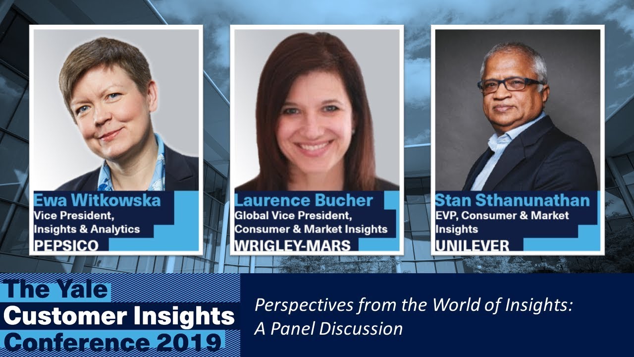 Perspectives from the World of Insights: A Panel Discussion