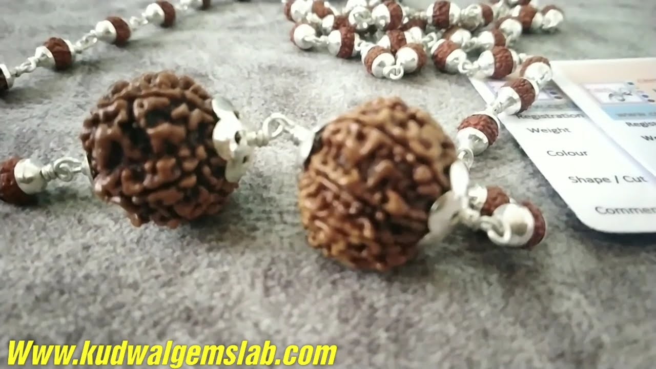 Rudraksha silver cap mala with big rudraksha सिल्वर कैप रुद्राक्ष माला - Kudwal Gems