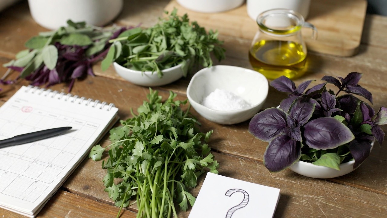Herbs Triggering My Food Allergies? Here’s My Update + Big Changes I’m Making