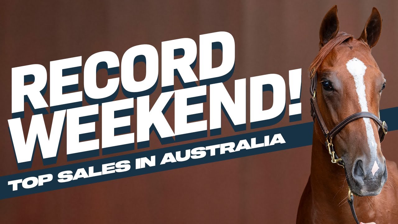Record Breakers! The Most Expensive Yearling's At Australia's Magic Millions Sale