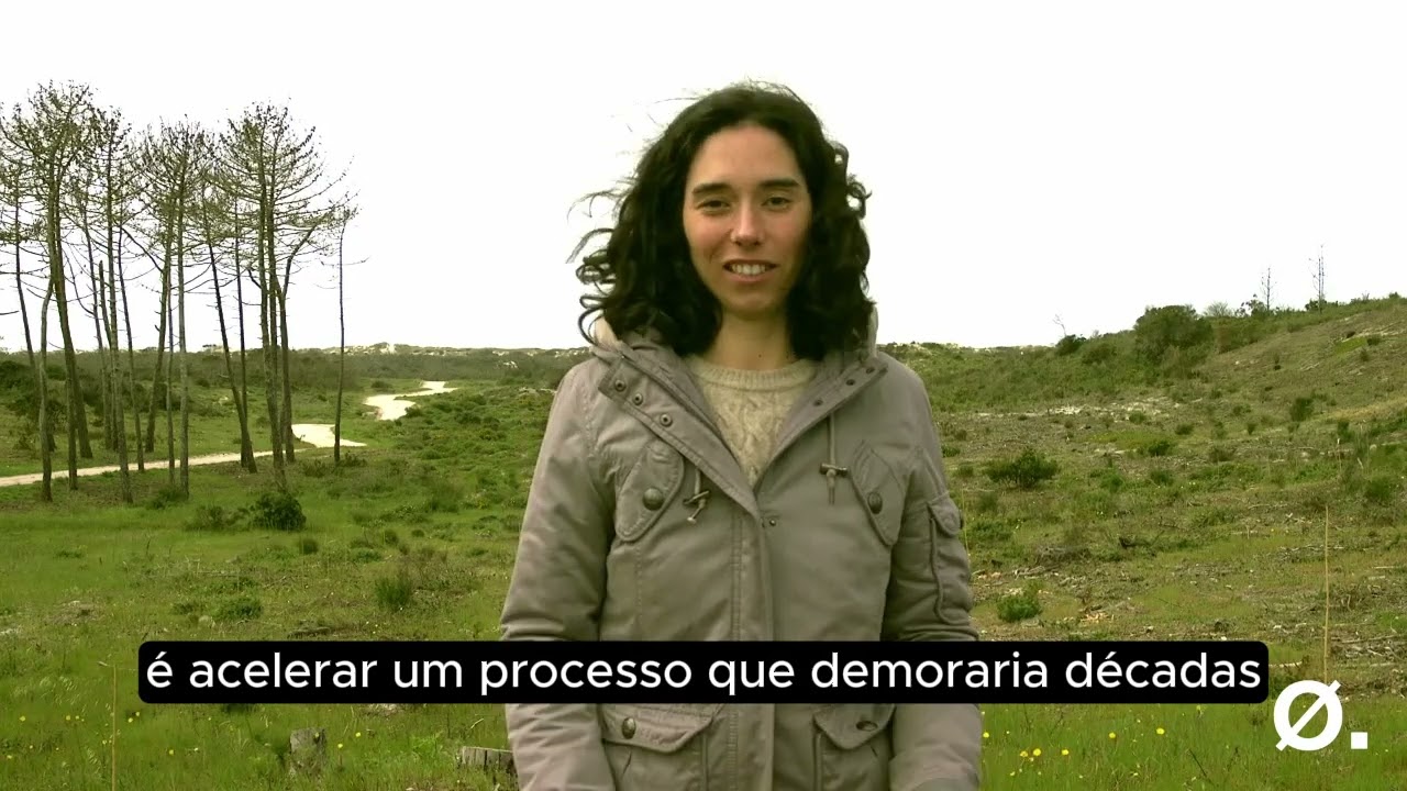 Plante Uma Árvore na Mata Nacional de Leiria!