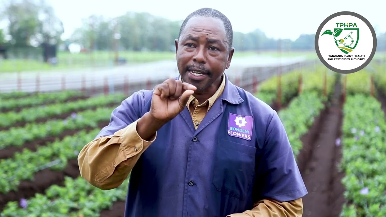 BONDENI FLOWERS LTD WAELEZA MAFANIKIO WALIYOYAPATA KUTOKANA NA   HUDUMA WANAZOPATA  KUTOKA TPHPA