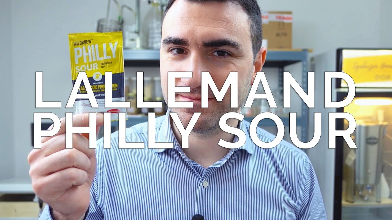 Scopriamo i lieviti LATTACIDI! | Lallemand Philly Sour