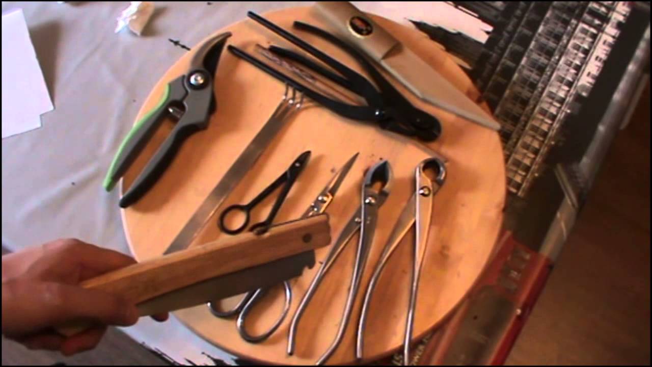 Herramientas para el Bonsai