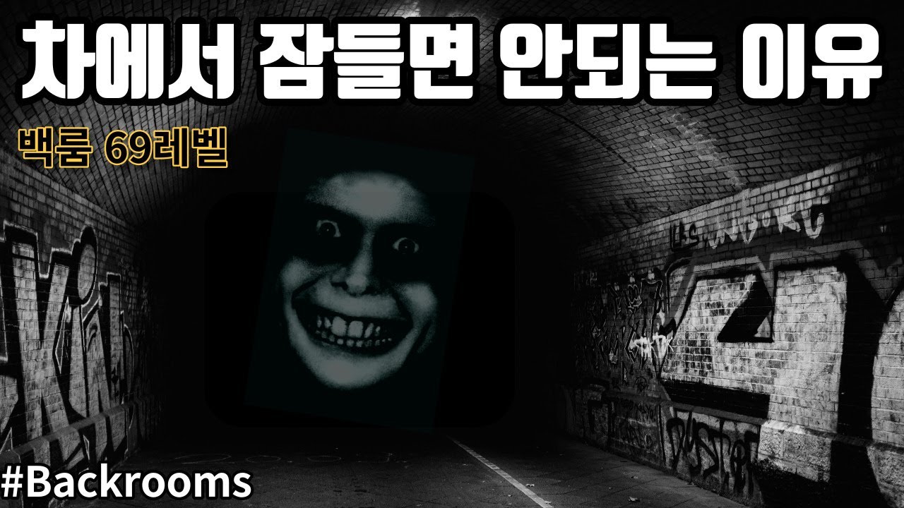 차에서 잠들면 안되는 이유...(백룸 69레벨)