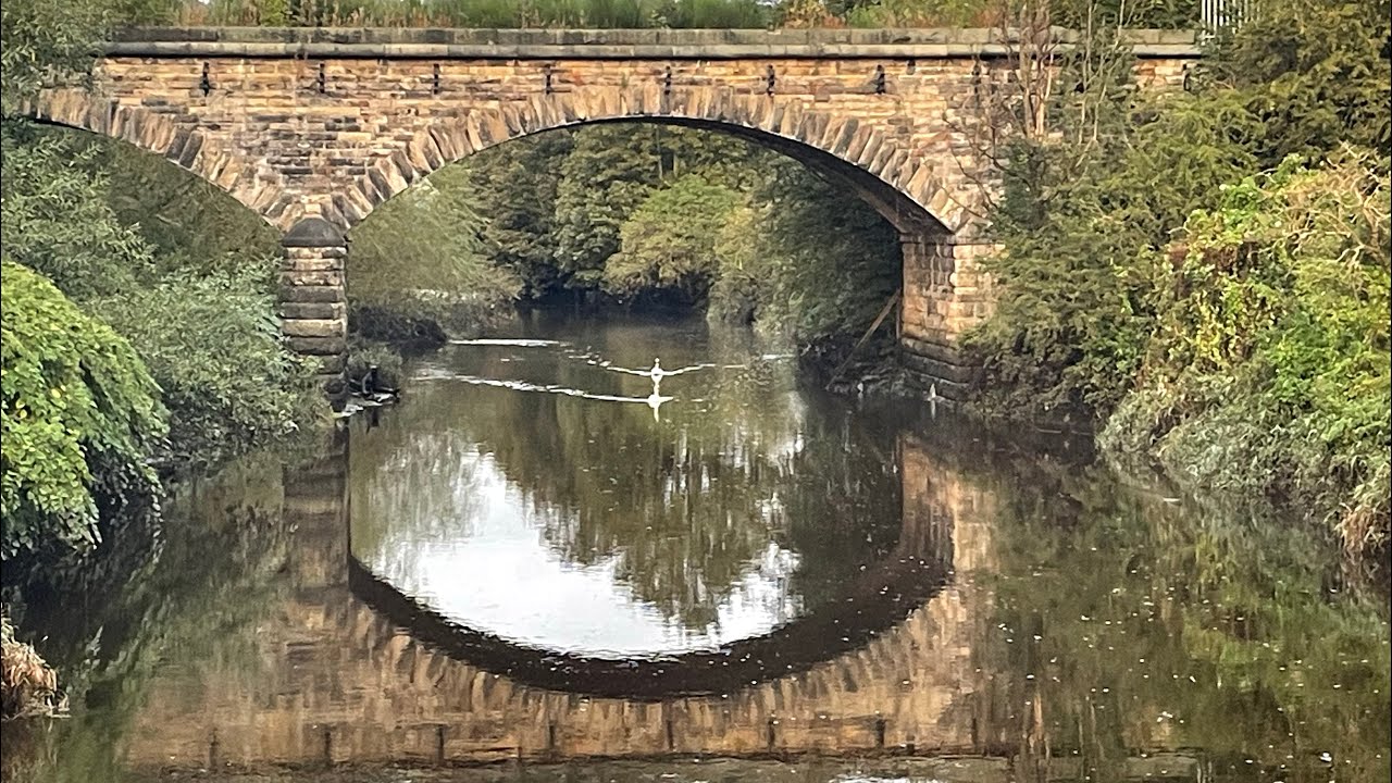 Stick float fishing for dace brownies and elusive grayling on the Derwent and Blaydon