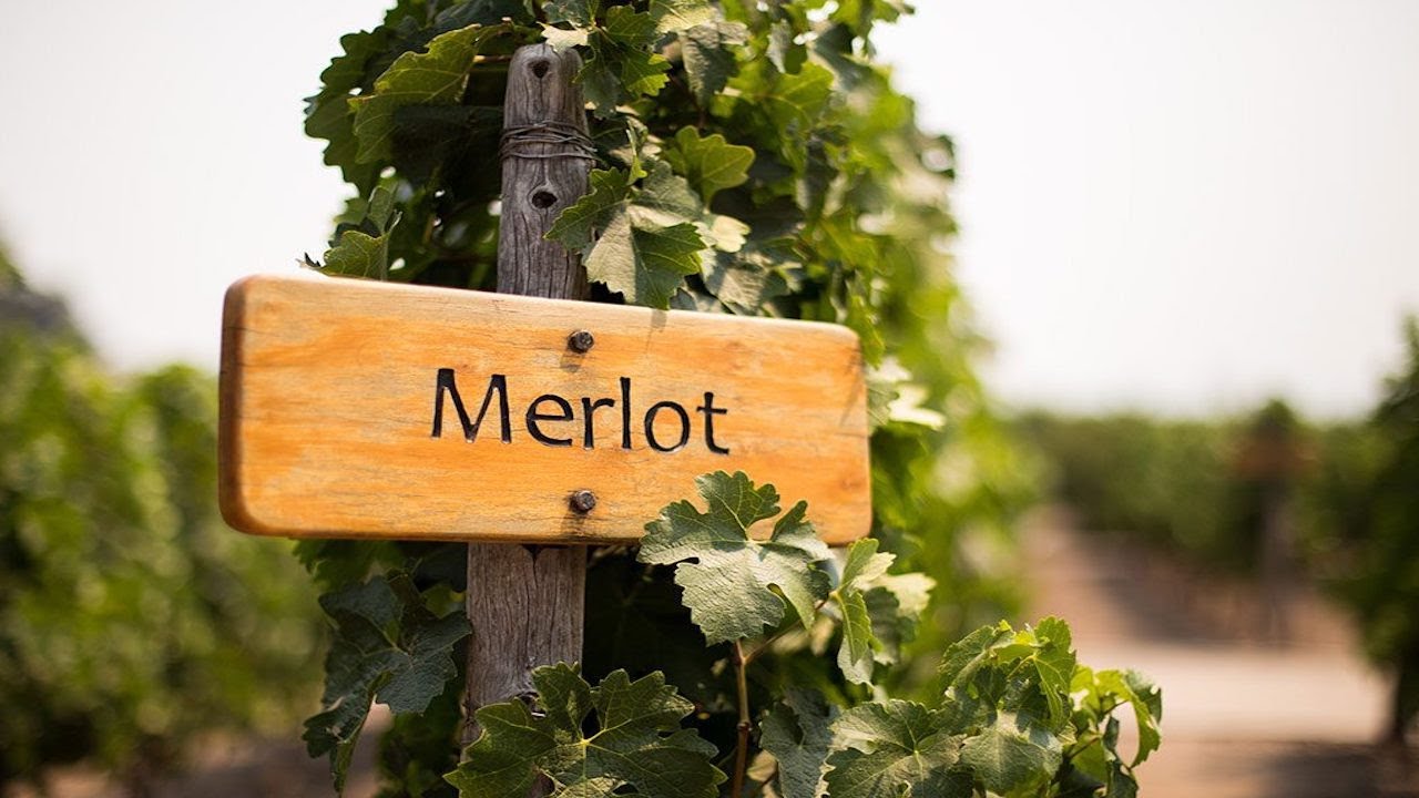 MERLOT Старый Добрый Мерло
