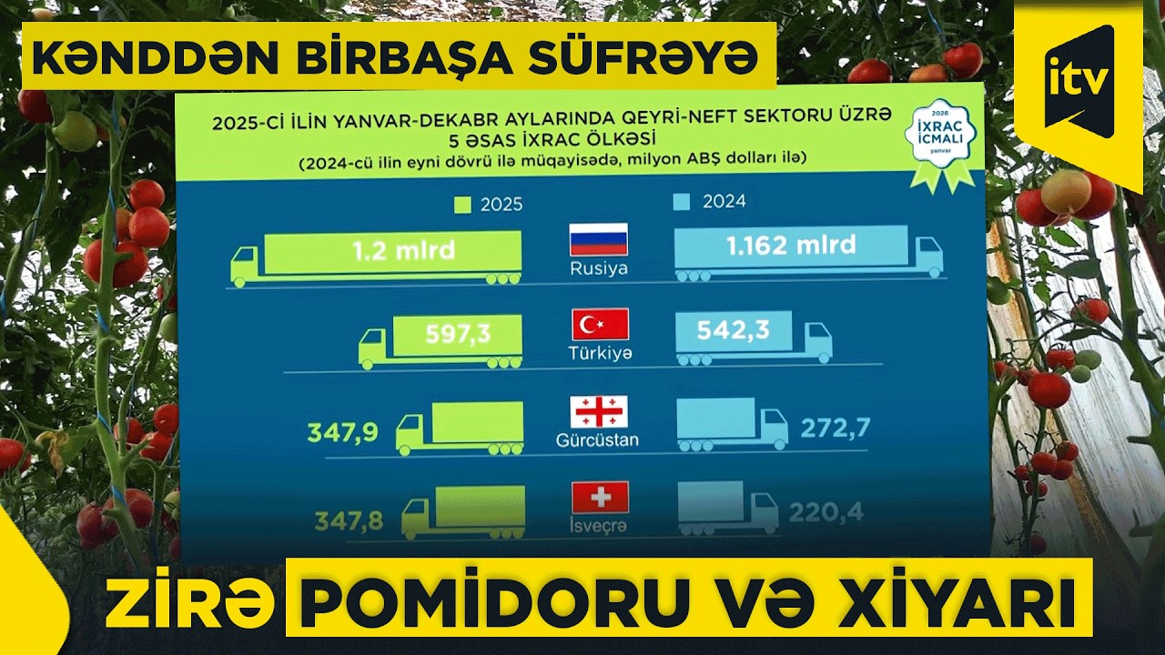 Zirənin torpağından süfrəmizə: Dadına doyulmayan pomidor və xiyar