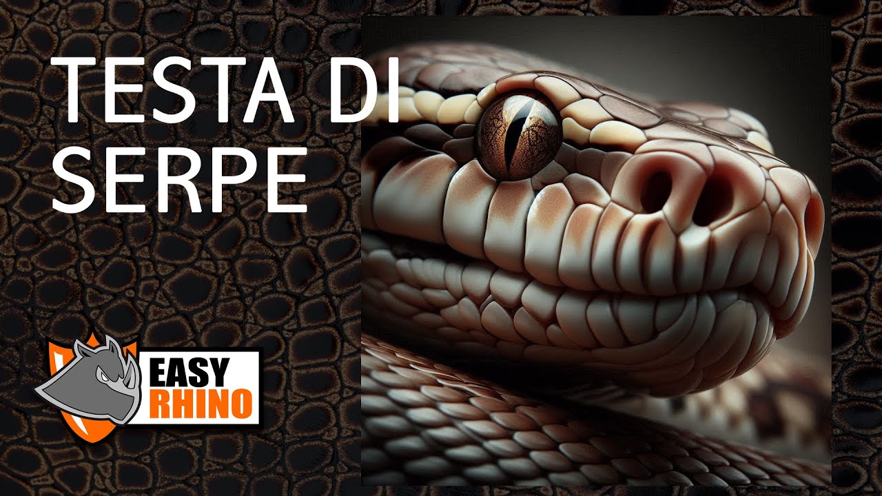 TESTA SERPE con BLENDER