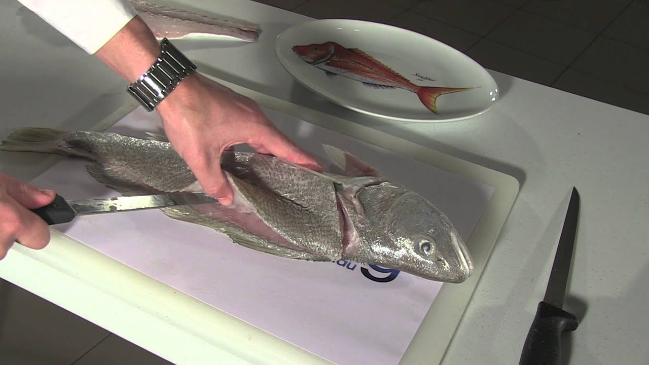 How To Fillet Fish: Mulloway