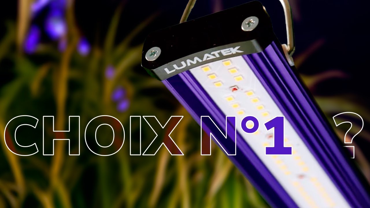 Cultivez mieux avec la LED Bar 100W Lumatek