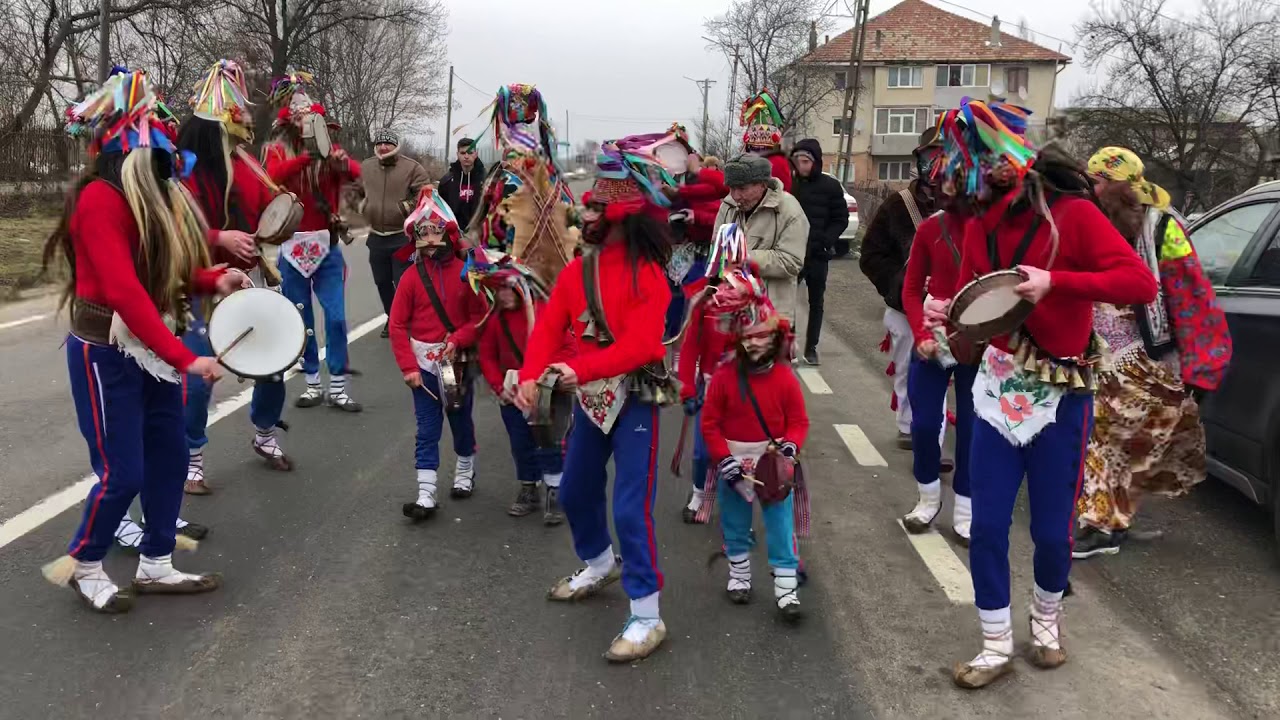 Cerbul din Crivesti 31.12.2018