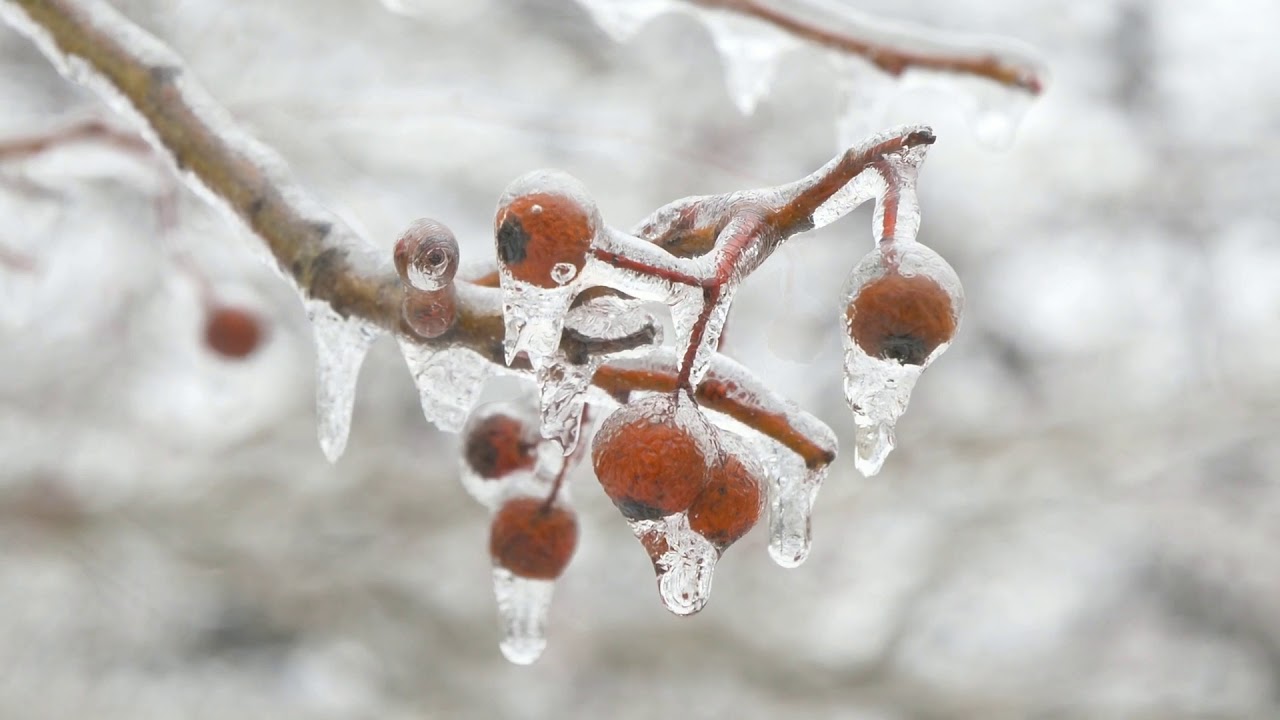 Winter Relaxation Music for Studying This Christmas | A Calm Mind | M&uacute;sica relajante