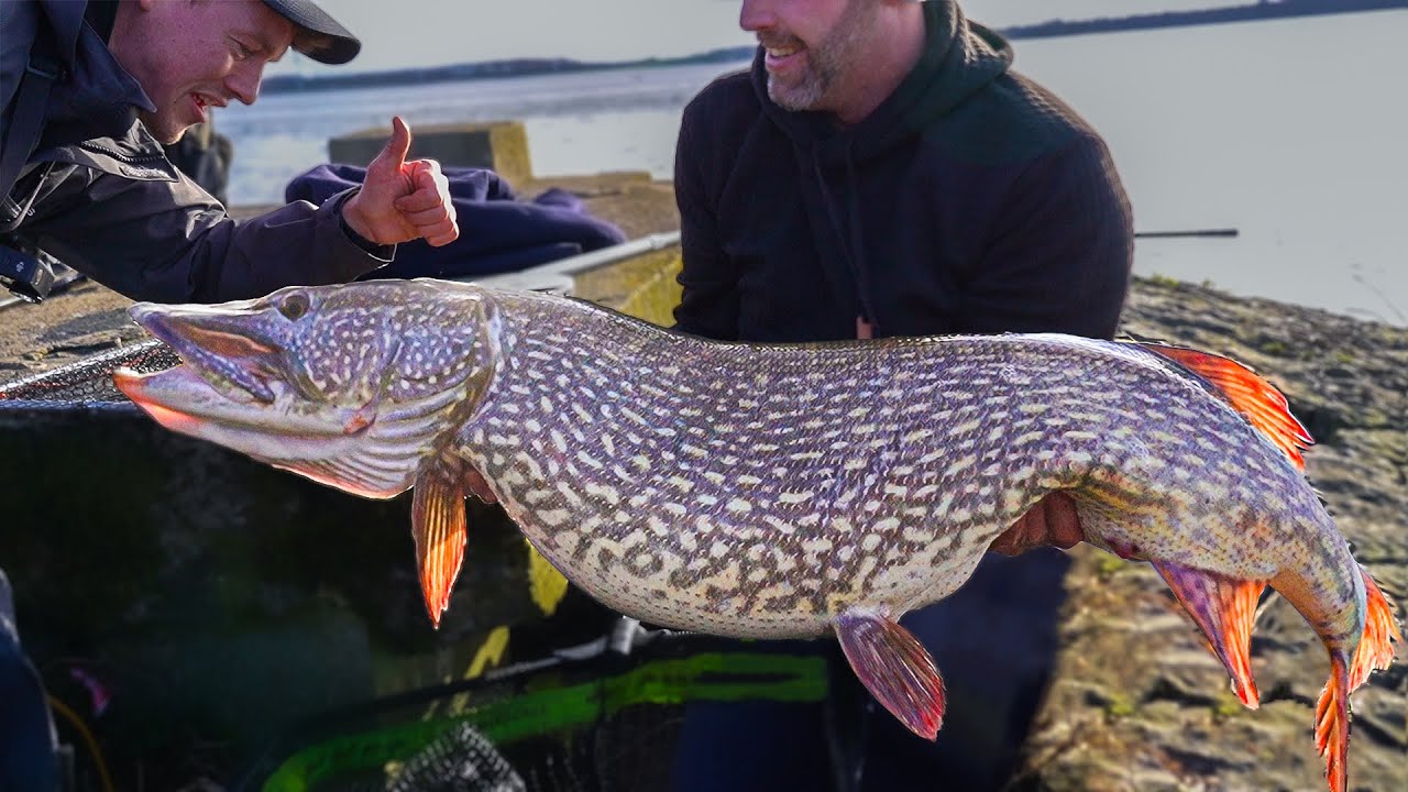 MAN VANGT MONSTERSNOEK VAN 20KG?!😨