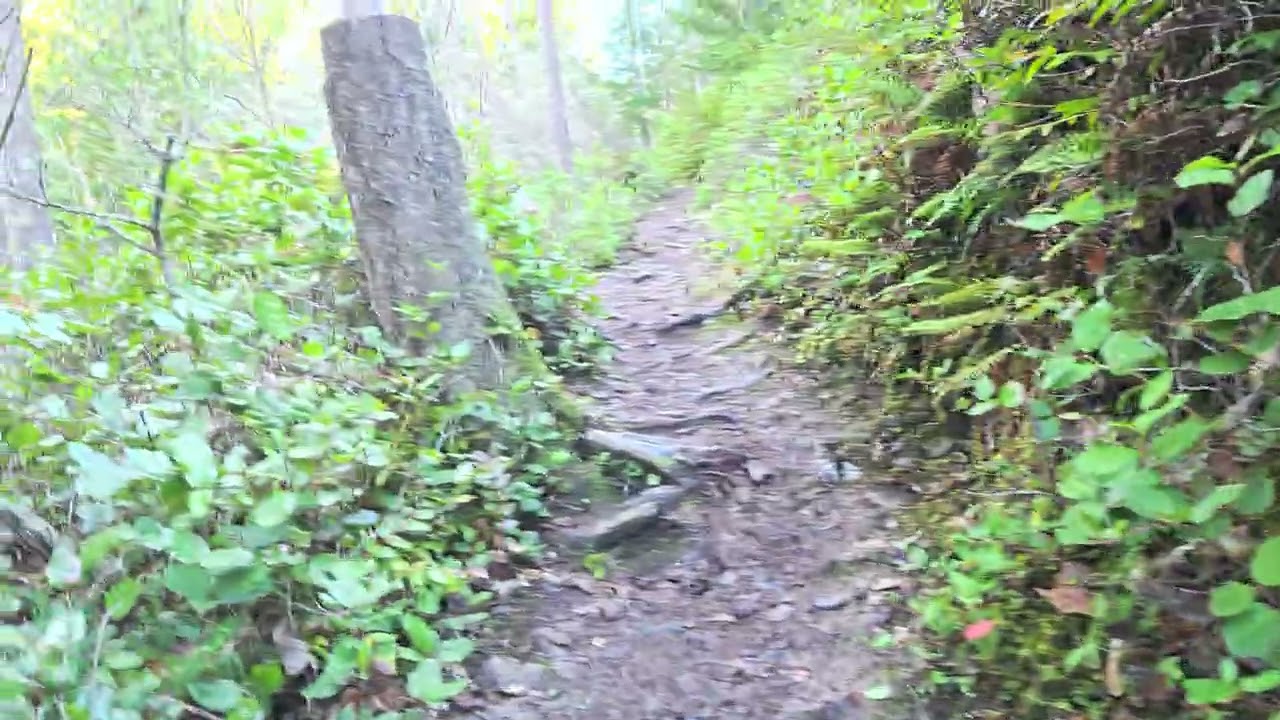 Hugo Peak Trail hike - Eatonville, Washington 1